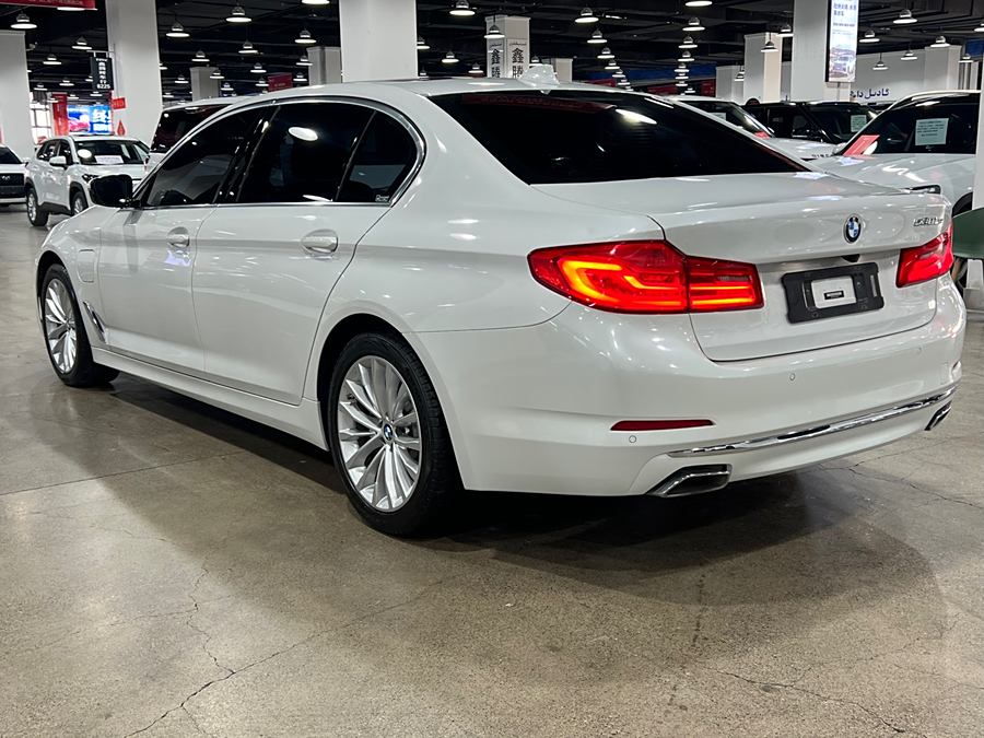 bmw-5-series-new-energy-2020-mileage-upgraded-edition-530le-luxury-package-194878-9