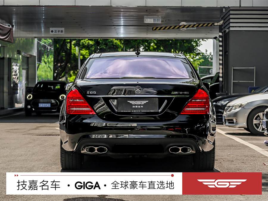 mercedes-benz-s-class-amg-2010-amg-s-65-194192-6