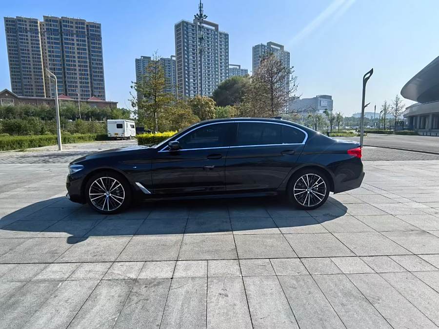 bmw-5-series-2020-530li-xdrive-m-sport-package-649322-6