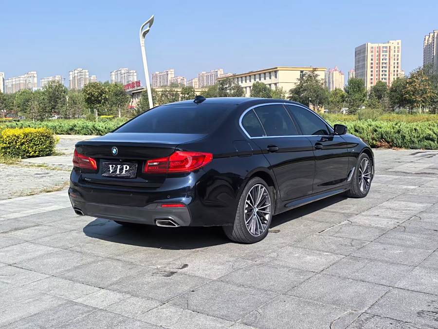 bmw-5-series-2020-530li-xdrive-m-sport-package-649322-9